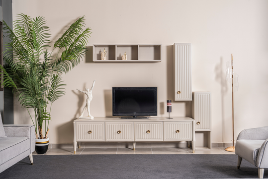 Roma TV Unit